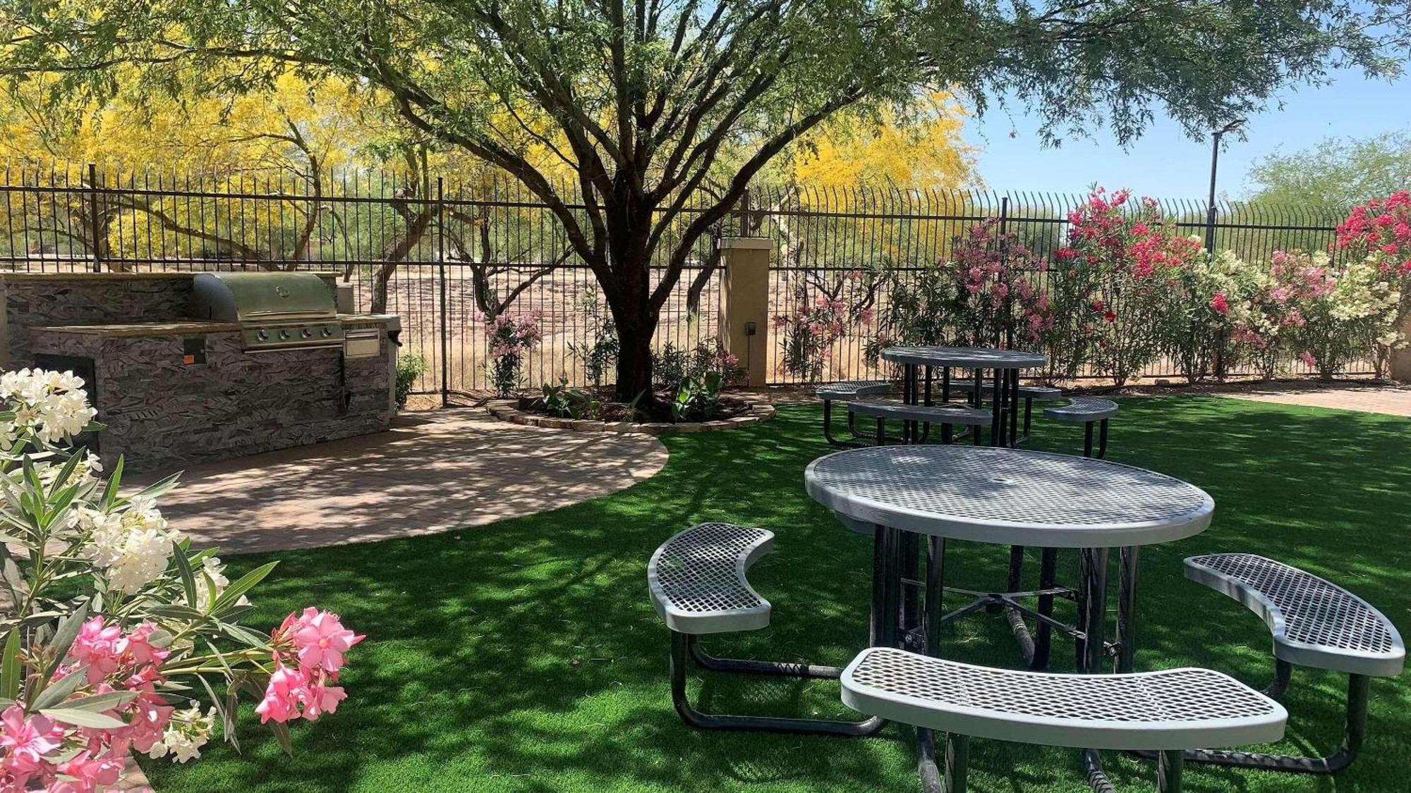 Country Inn & Suites By Radisson, Tucson City Center Az Exterior foto